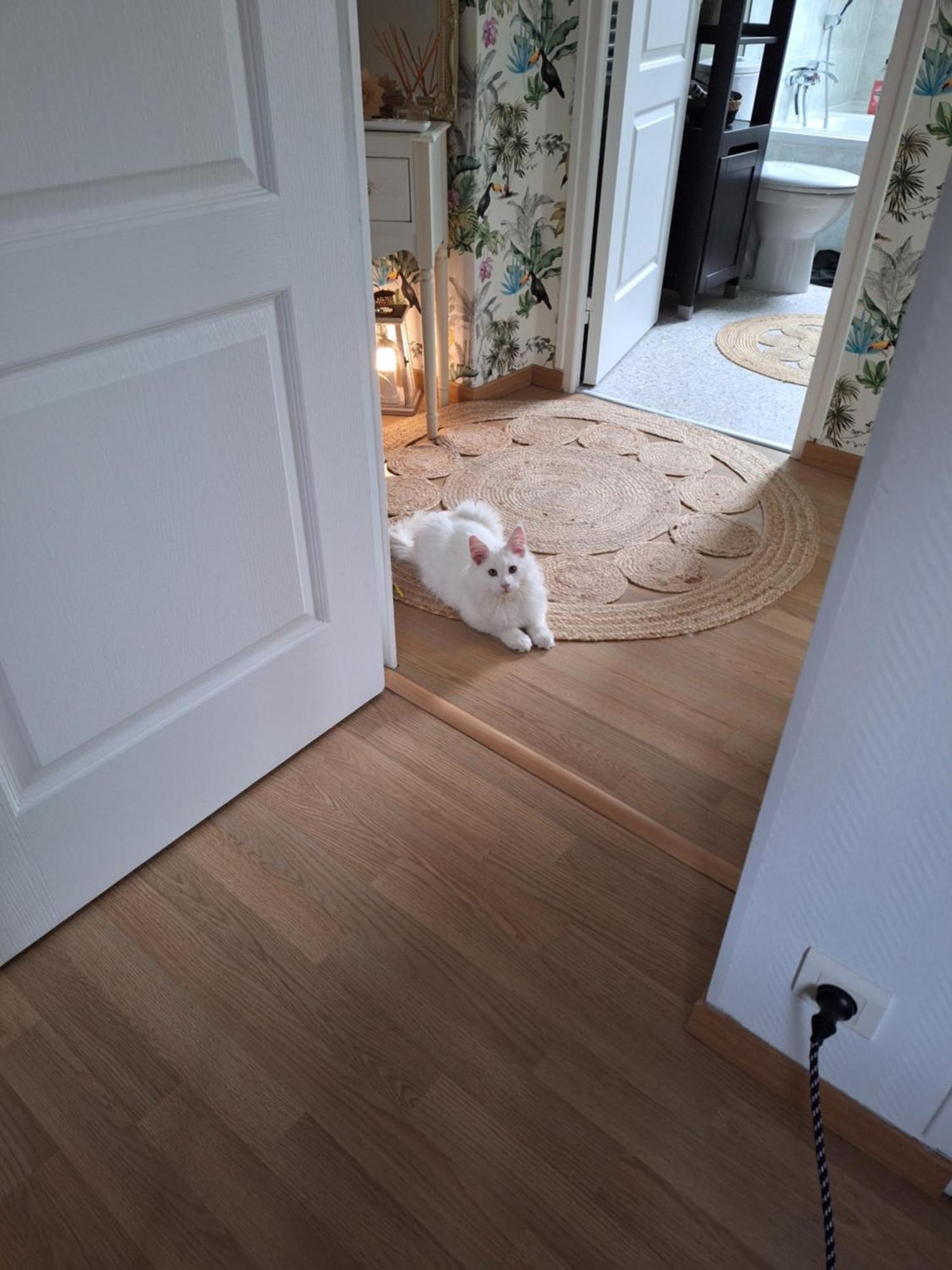 Climatisee Au Coeur De Avec Televiseur Connecte Wifi Netflix * Brive-la-Gaillarde